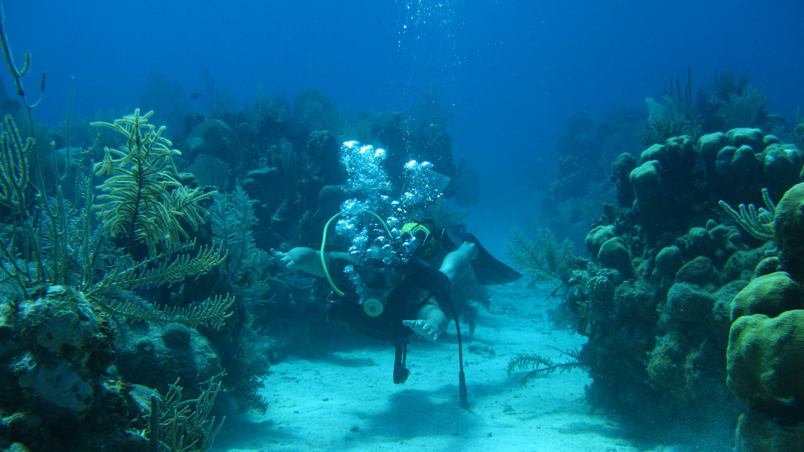 Jardines de La Reina