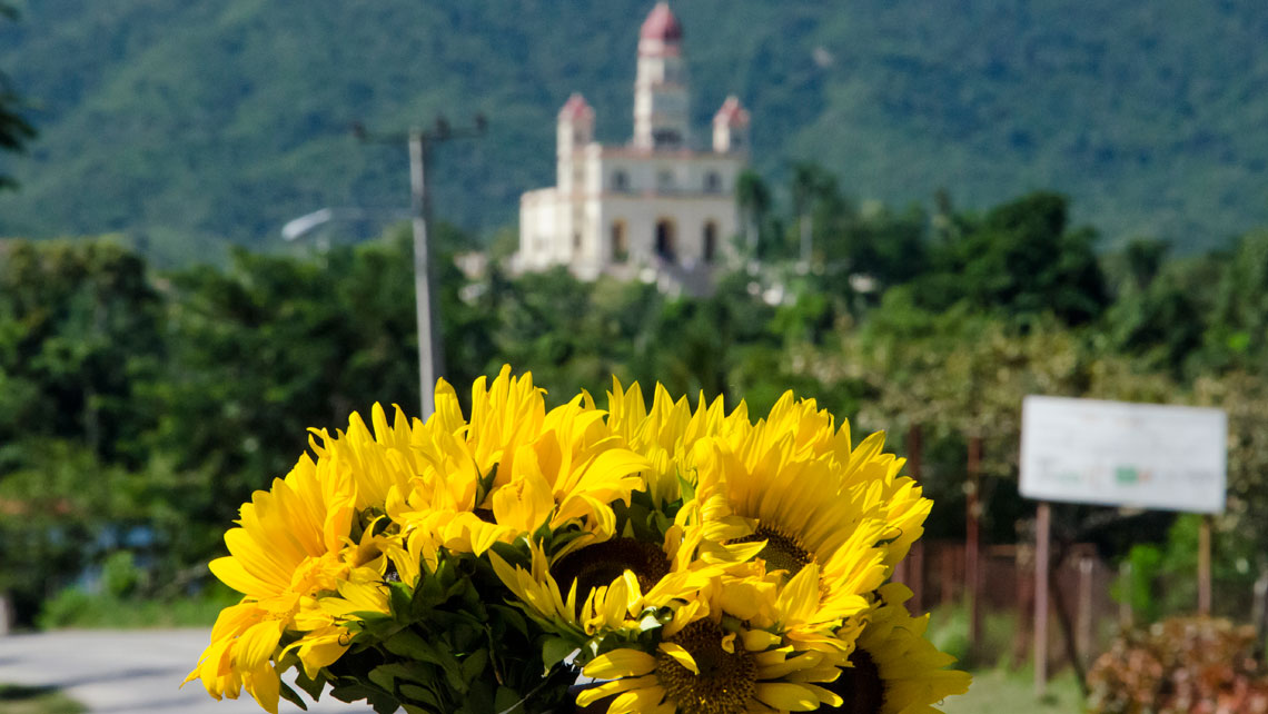 Sunflowers and in the background is the Basilica del Cobre