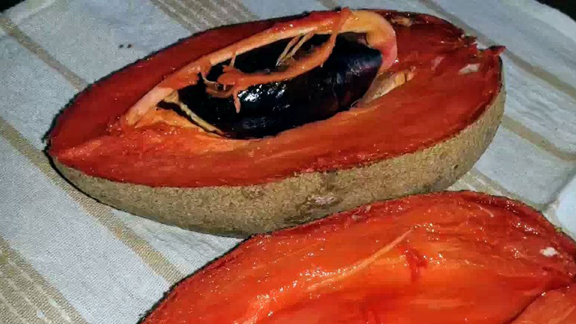 A ripe mamey cut in halves