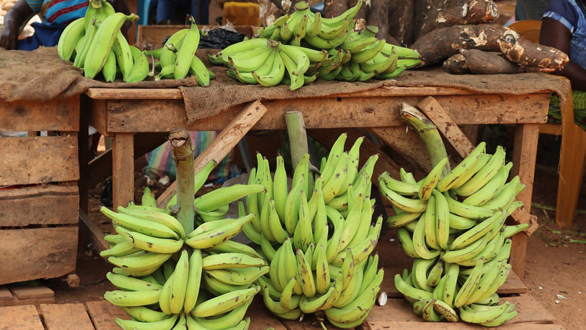 Bunch of plantain in a selling point