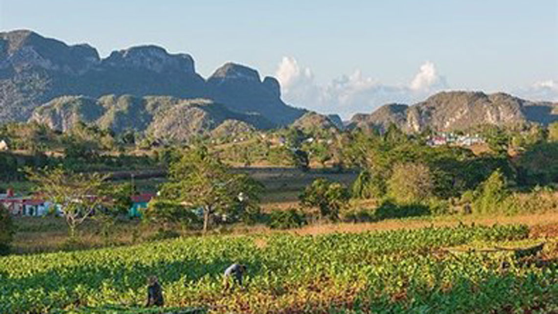 Amazing view from the terrace of Casa de las Sorpresas