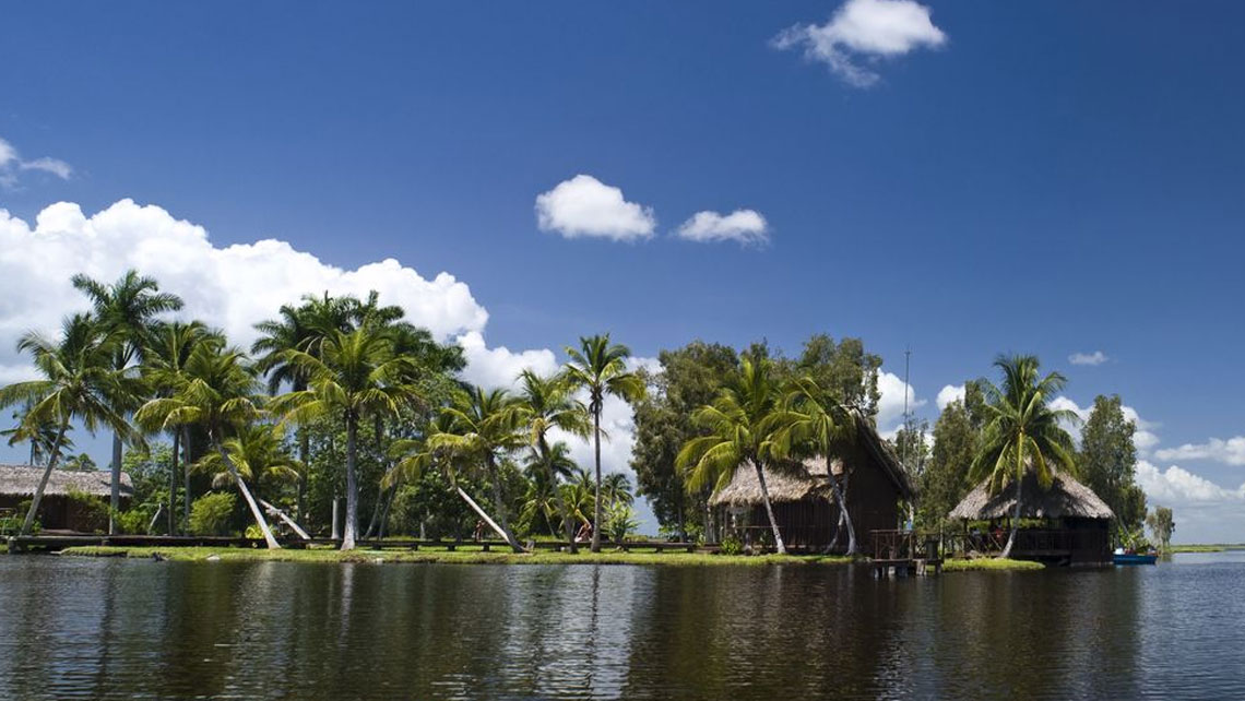 Guama in Cienaga de Zapata