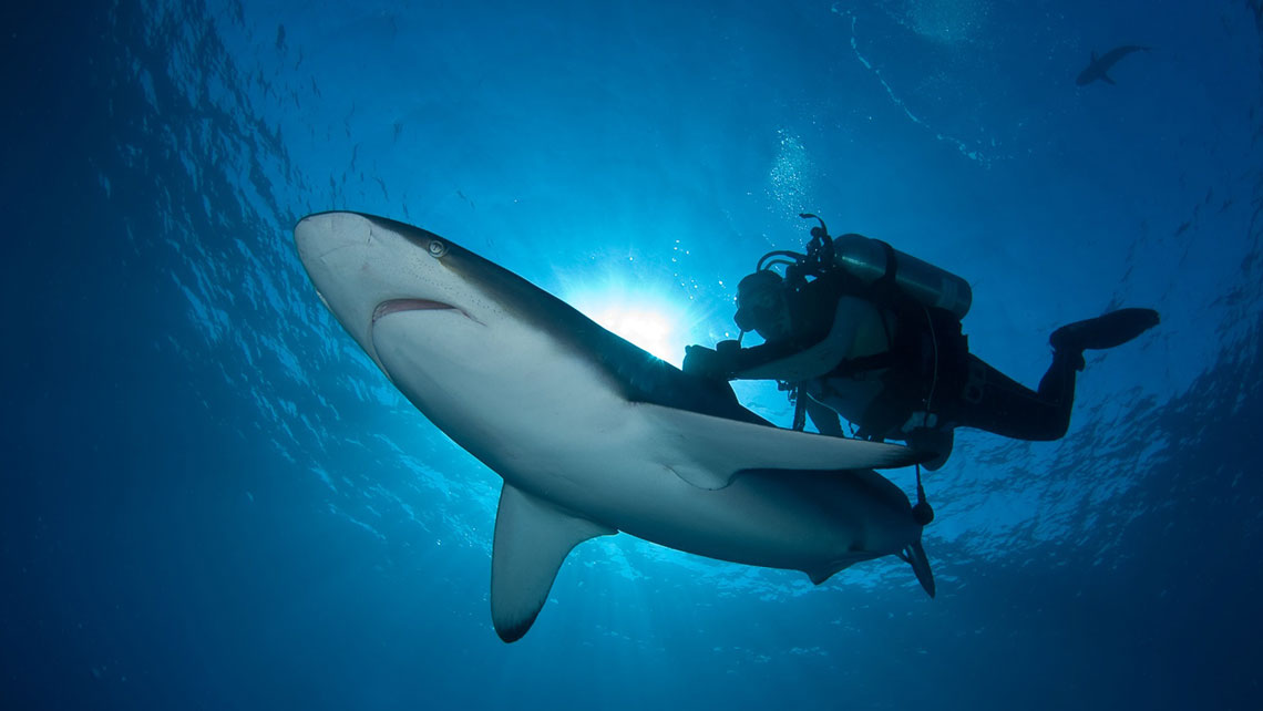 Rustic facilities by Cueva de los Peces