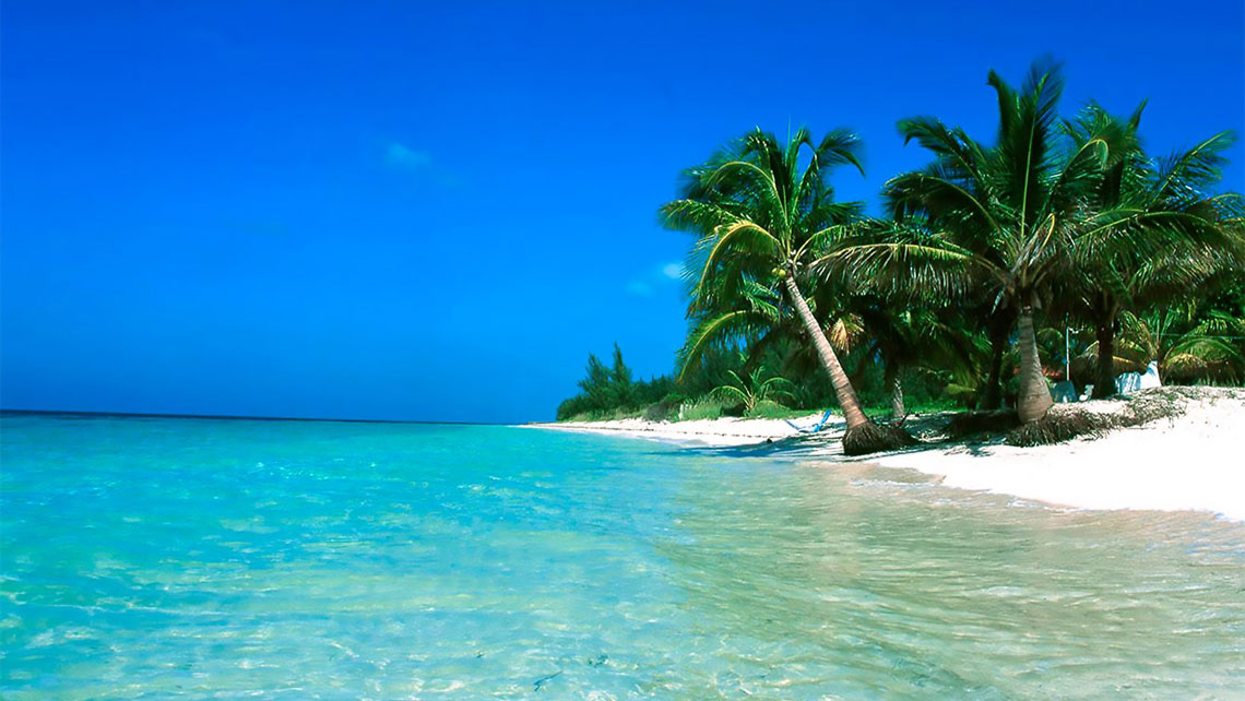 View over white sand beach with palm trees