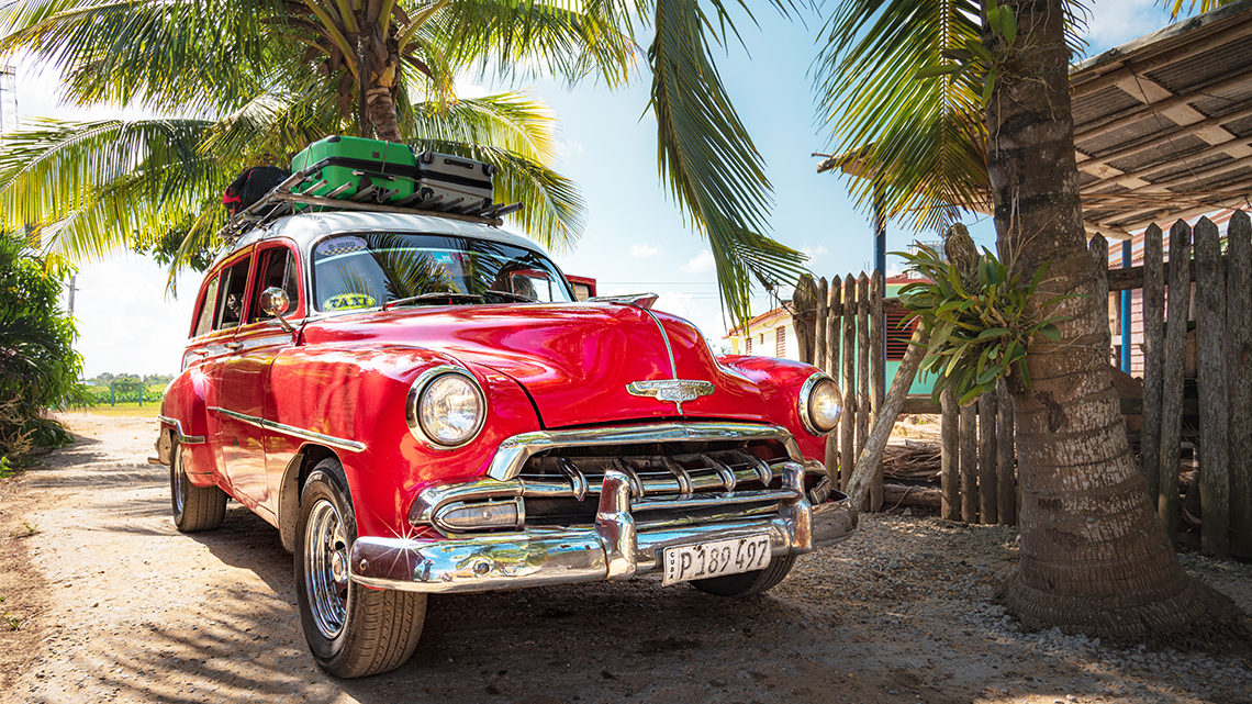 Vintage taxi loaded with suitcases parked near coconut trees in Cuba